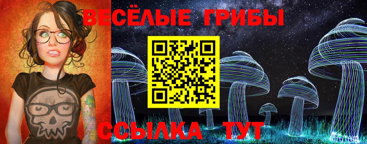 Псилоцибиновые грибы Cubensis  Вход с VPN  Десногорск 